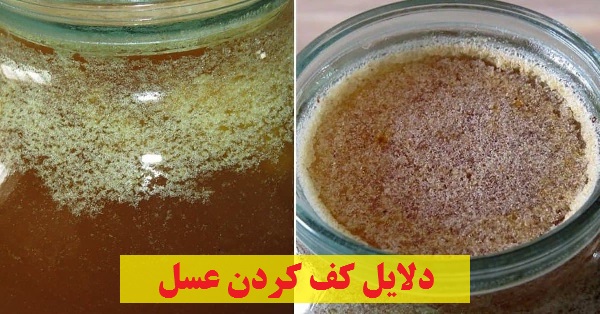 کف عسل