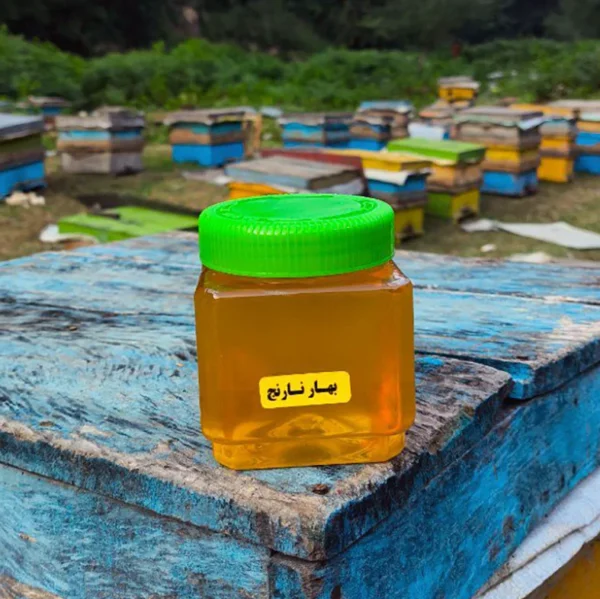 عسل بهارنارنج 500 گرم | عطر شکوفه‌های بهاری - Image 8