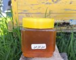 عسل کنـار اصـل 500 گرم | با عیار جهانی