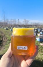 عسل گزانگبین 500 گرم | طعم ملایم و همه پسند - Image 5