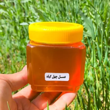 عسل چهل گیاه خوشمزه 500 گرم - Image 5
