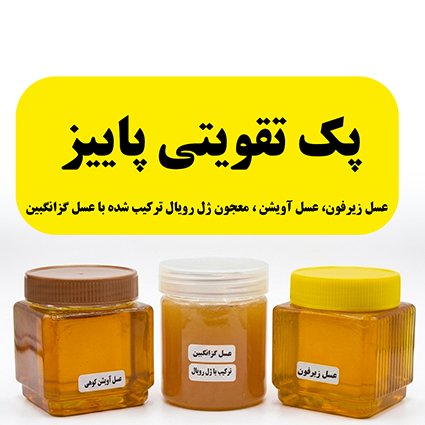 پک تقویتی پاییز- 333 پک تقویتی پاییز - Image 1