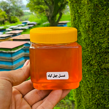 عسل چهل گیاه 500 گرم | خوشمزه و پرخواص - Image 2