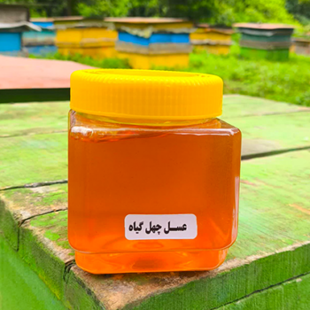 عسل چهل گیاه 500 گرم | خوشمزه و پرخواص