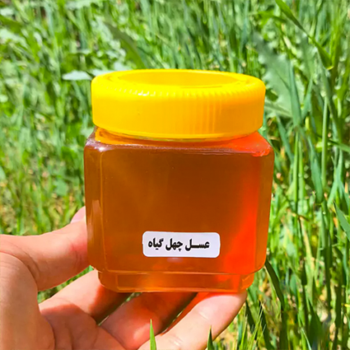 عسل چهل گیاه 500 گرم | خوشمزه و پرخواص - Image 3