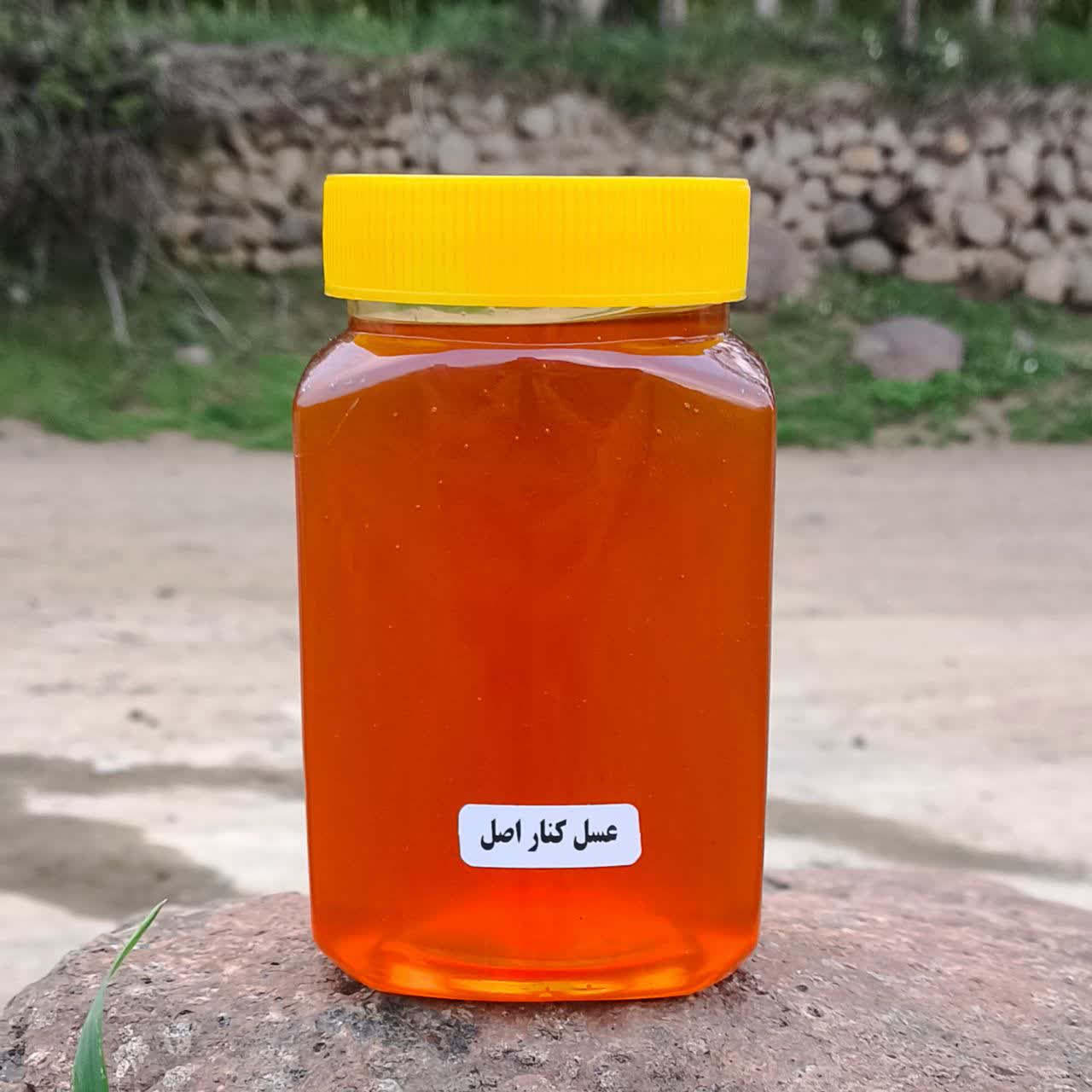 کنار-1 عسل کنـار اصـل 850 گرم | با عیار جهانی - Image 1
