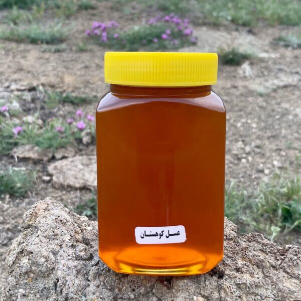 عسل کوهستان 850 گرم | طعم اصیل کوهستان