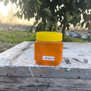 عسل جنگلی شکوفه های زیرفون 500 گرم