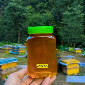 عسل جنگلی شکوفه های زیرفون 850 گرم