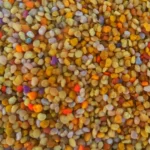گرده گل کوهستانی (100 گرمی) - Image 3