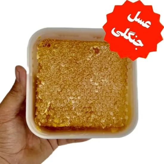 عسل جنگلی باموم زیرفون عسل باموم زیرفون جنگلی (یک کیلویی) - Image 1