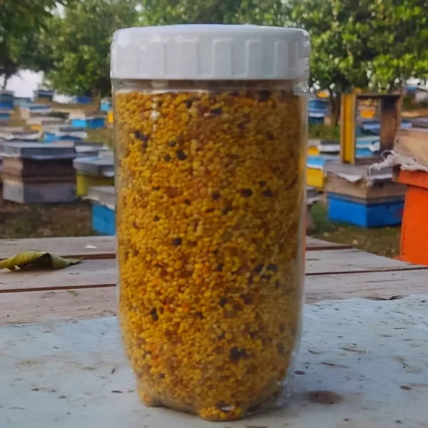 پک عیدانه + هدیه ویژه - Image 7