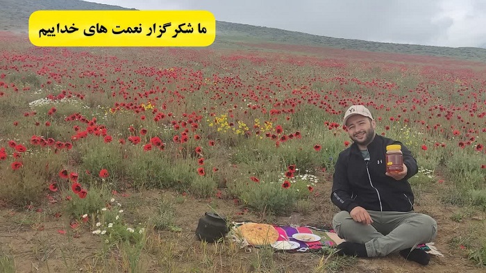 دشت کوهدار
