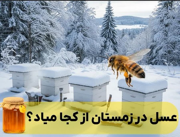 عسل زمستان