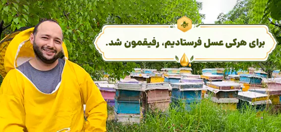 بنر صفحه اصلی- بنر سوم