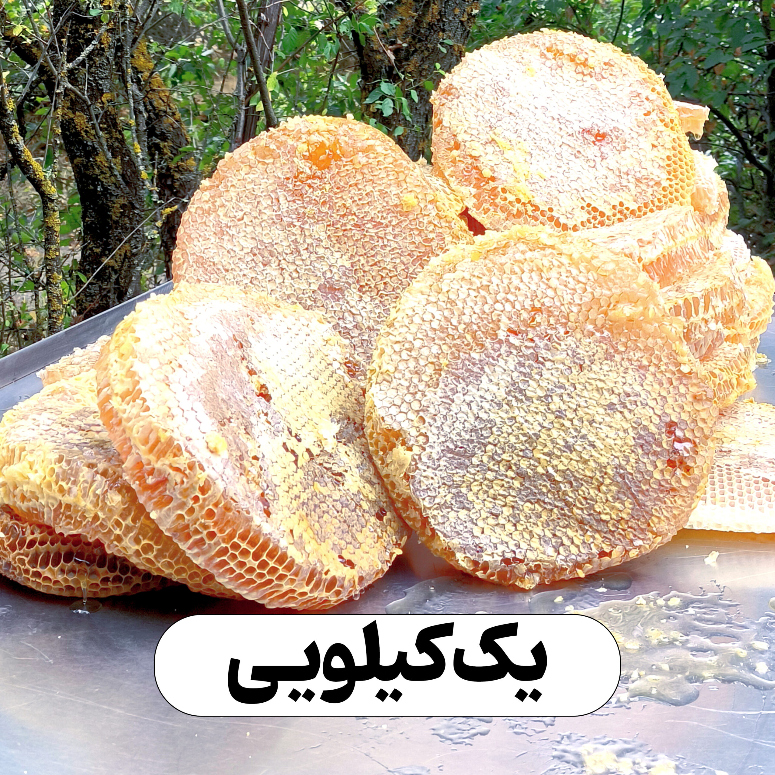 یک کیلو عسل خودبافت یک کیلویی | لطیف و دلچسب - Image 1