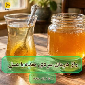 درمان سردی معده با عسل
